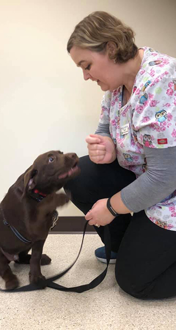 Veterinarian with a dog during a wellness exam